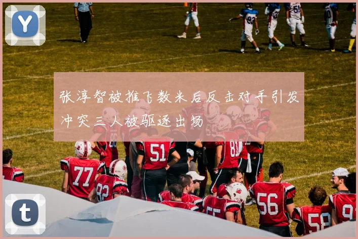 张淳智被推飞数米后反击对手引发冲突三人被驱逐出场